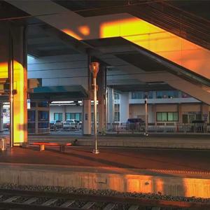 欧美午夜嘿嘿在线
