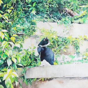 欧美午夜嘿嘿在线
